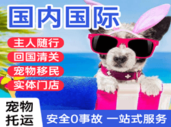 泰州航空空运国际宠物托运 【国